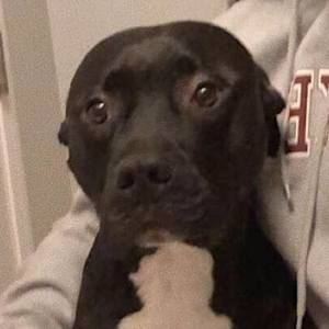 Meet your Posher, Kaila